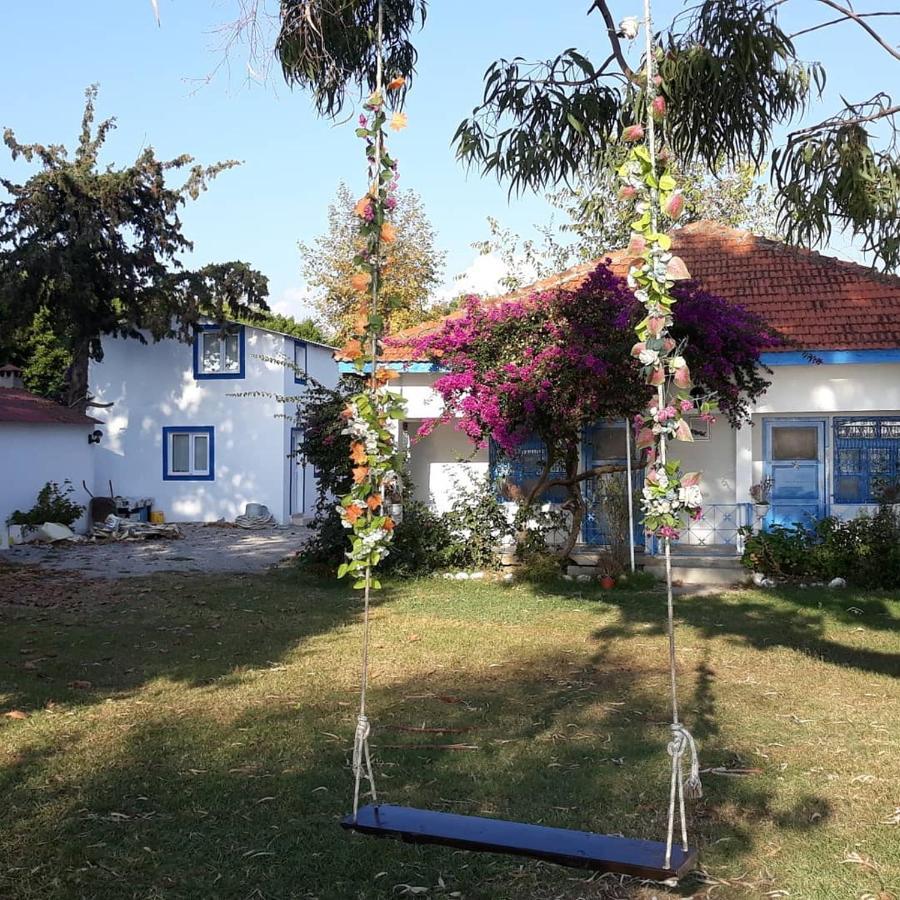 Okaliptus Butik Hotel Fethiye Exterior photo