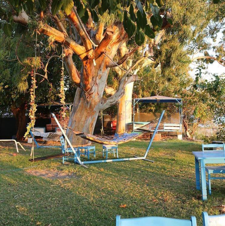 Okaliptus Butik Hotel Fethiye Exterior photo