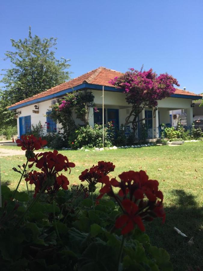 Okaliptus Butik Hotel Fethiye Exterior photo